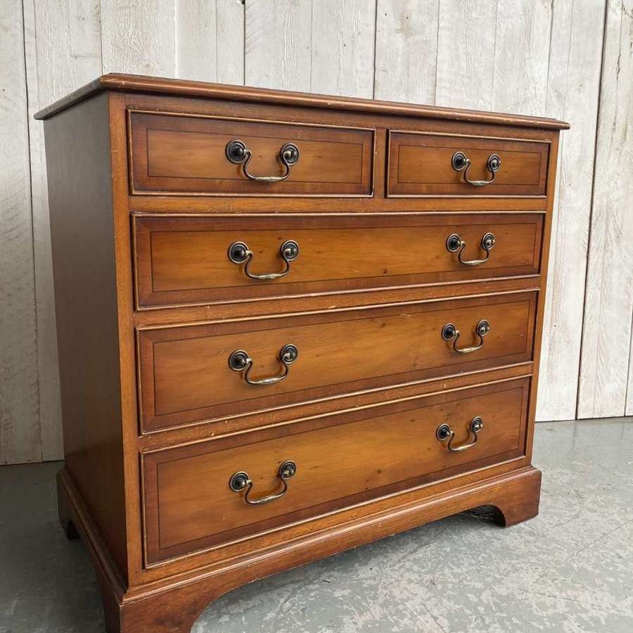 Yew Chest of Drawers